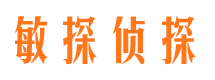 岳池侦探公司